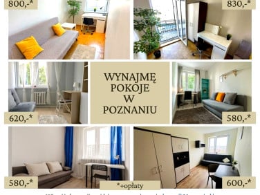 Pokój Poznań