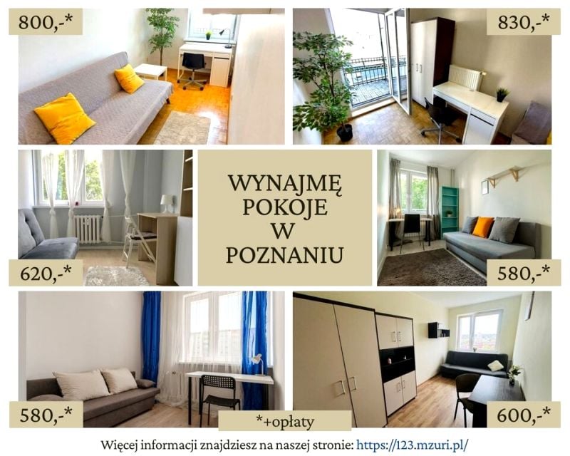 Pokój Poznań
