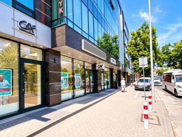 Lokal Kielce