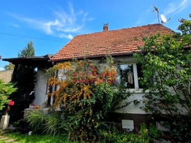 Dom Pszczyna
