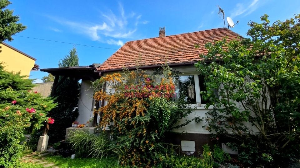 Dom Pszczyna