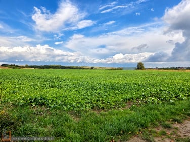 Pusta działka Smardzowice
