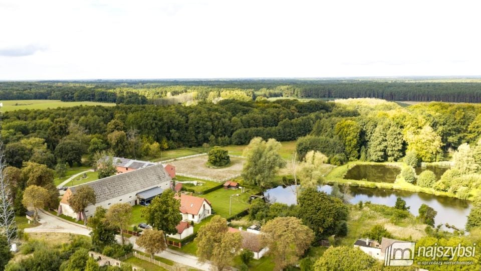 Dom Mołdawin