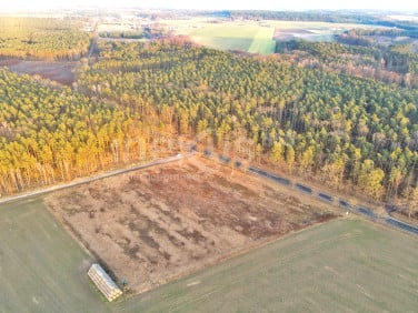 Działka Ostrowina