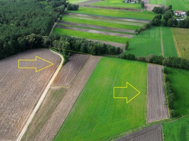 Działka Modlibogowice