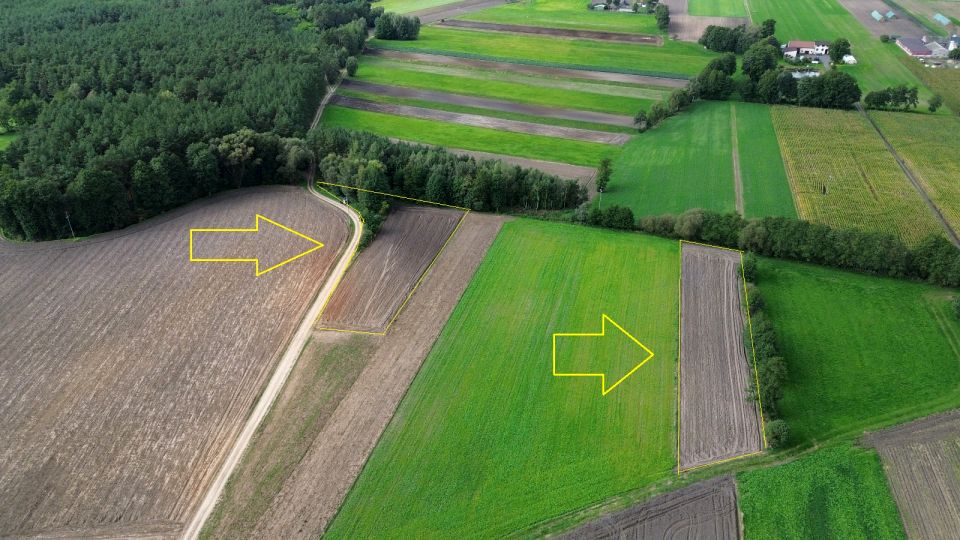 Działka Modlibogowice
