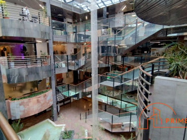 Lokal Warszawa