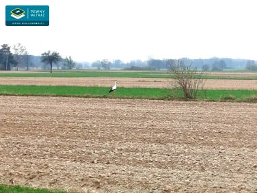 Działka budowlana Witów-Kolonia
