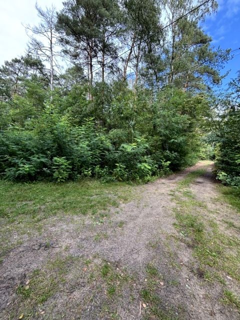 Działka budowlana Sokolniki-Las