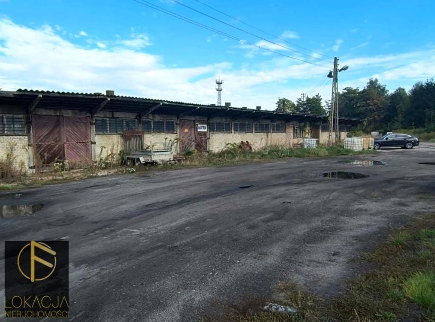 Lokal Kalisz