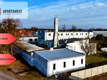 Lokal Sławoszowice