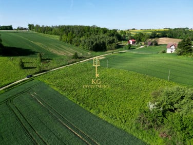 Działka Celiny