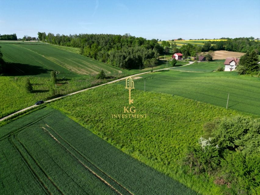 Działka Celiny