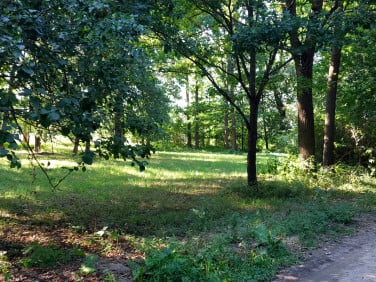 Działka budowlana Cybulice