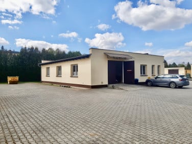Lokal Poznań