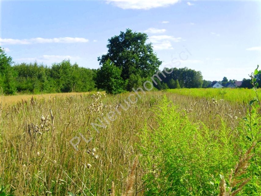 Działka budowlana Olesin