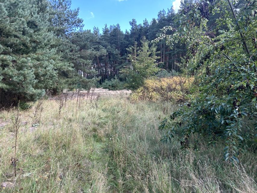 Działka budowlana Wągrowiec
