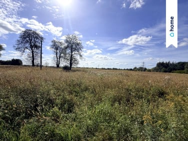 Działka rolna Marianów