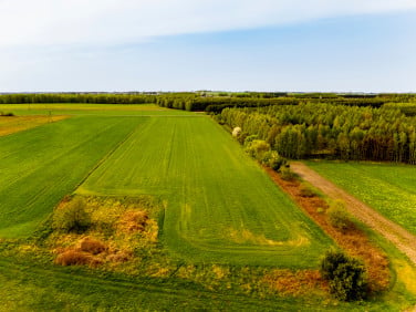 Działka budowlana Krępa-Parcela