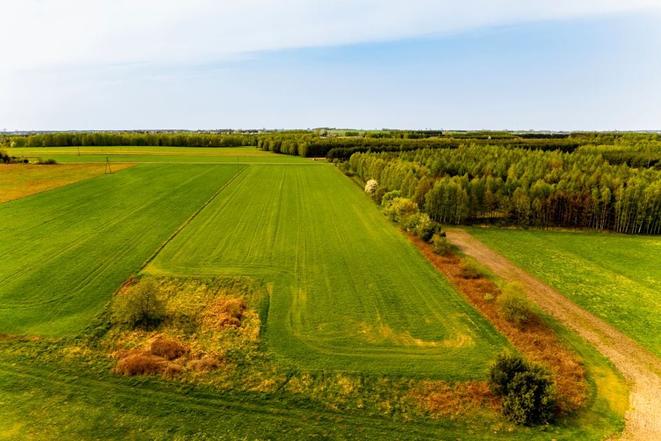 Działka budowlana Krępa-Parcela