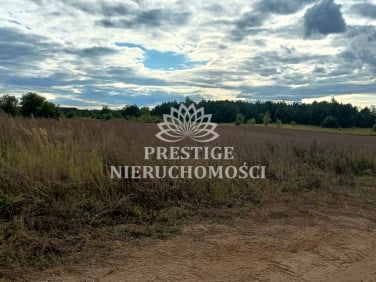 Działka budowlana Kruszyn