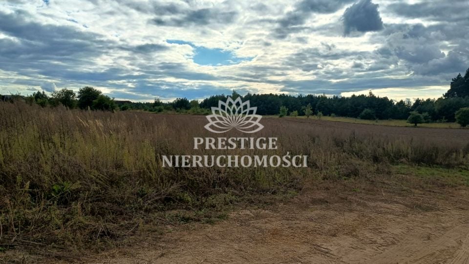 Działka budowlana Kruszyn