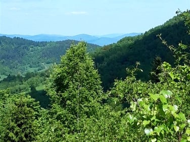 Działka budowlano-rolna Zawoja
