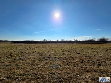 Działka inwestycyjna Cholerzyn