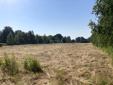 Działka przy lesie