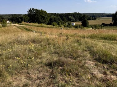 Działka budowlana Leszno