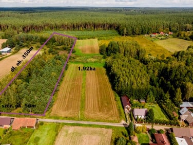Działka rolna Czarna Wieś Kościelna