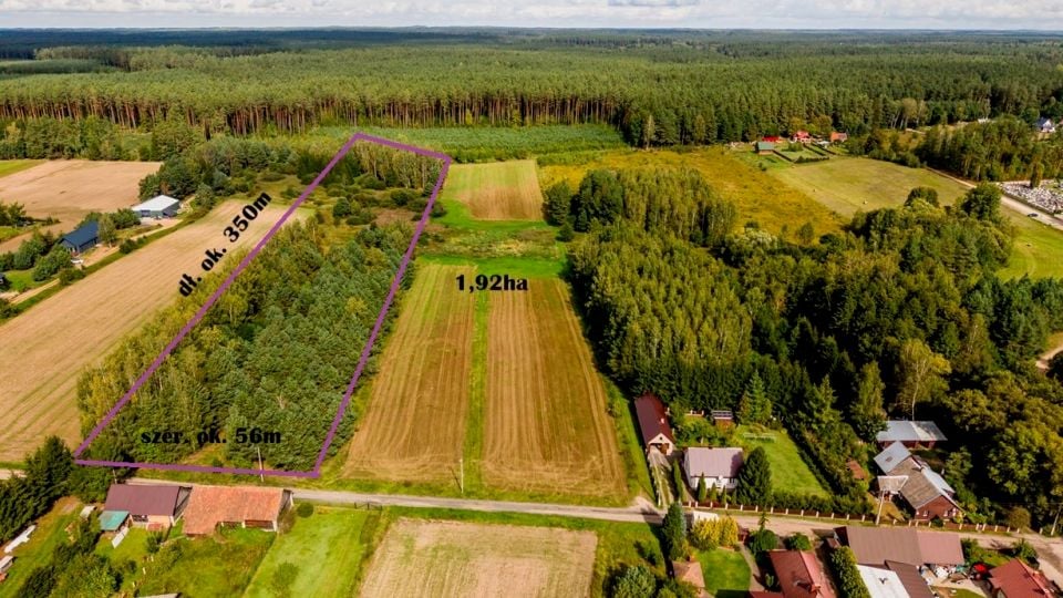 Działka rolna Czarna Wieś Kościelna