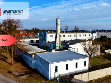 Lokal Sławoszowice