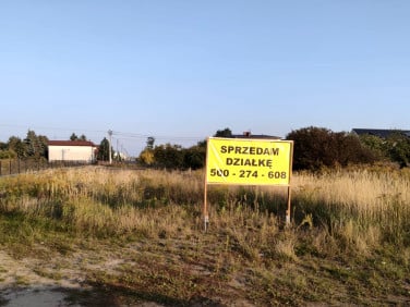 Działka Września