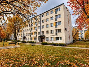 Mieszkanie Kielce