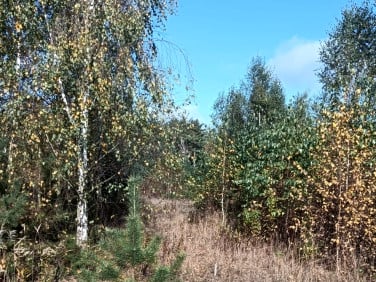 Działka budowlana Nowa Wrona