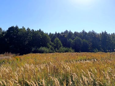 Działka budowlana Szczytno
