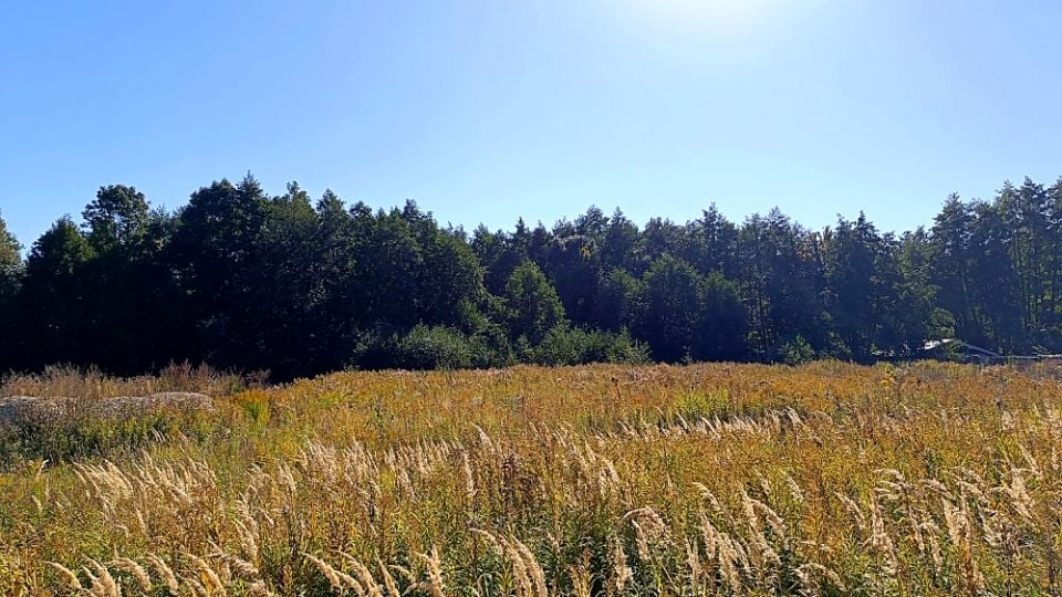 Działka budowlana Szczytno