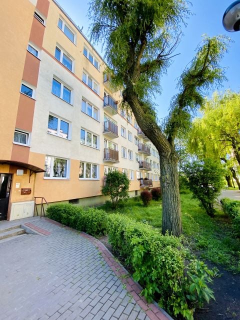 Mieszkanie Inowrocław