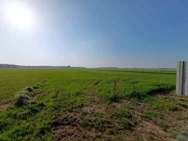 Działka budowlana Wilkowyja sprzedam