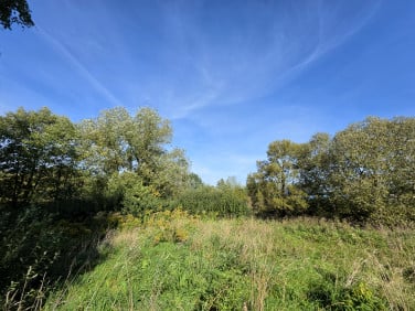 Działka budowlana Łódź