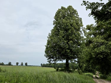 Działka rekreacyjna Przezmark