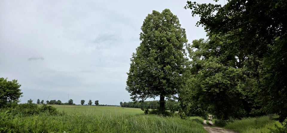 Działka rekreacyjna Przezmark