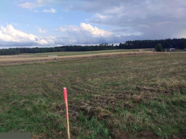 Działka Huta