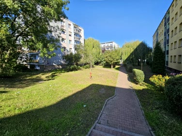 Mieszkanie Dąbrowa Górnicza