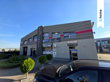 Lokal Świecie