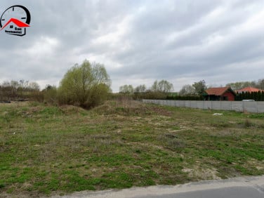 Działka przy lesie