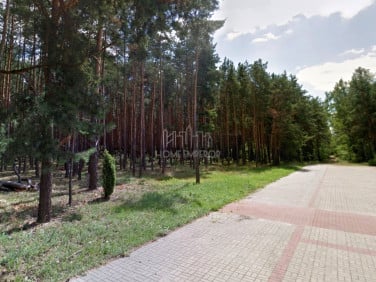 Działka leśna Warszawa sprzedam