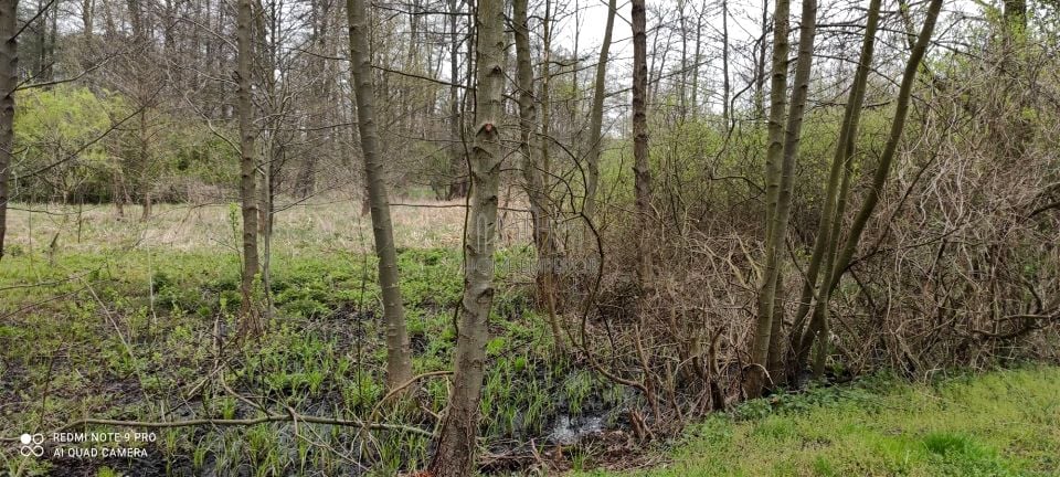 Działka rolna sprzedam