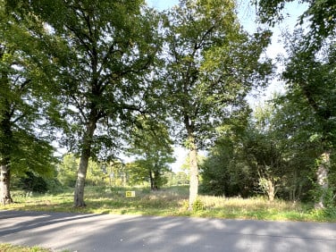 Działka inna Golica